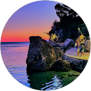 Amela Husic profile picture